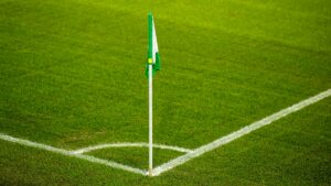 Stresset dansk græs kæmper i varmen – ved VM har de en løsning | FIFA VM 2026