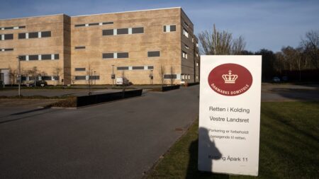 Forventes at tilstå voldsomt drab og drabsforsøg: Ridsede ord ind i lig | Indland