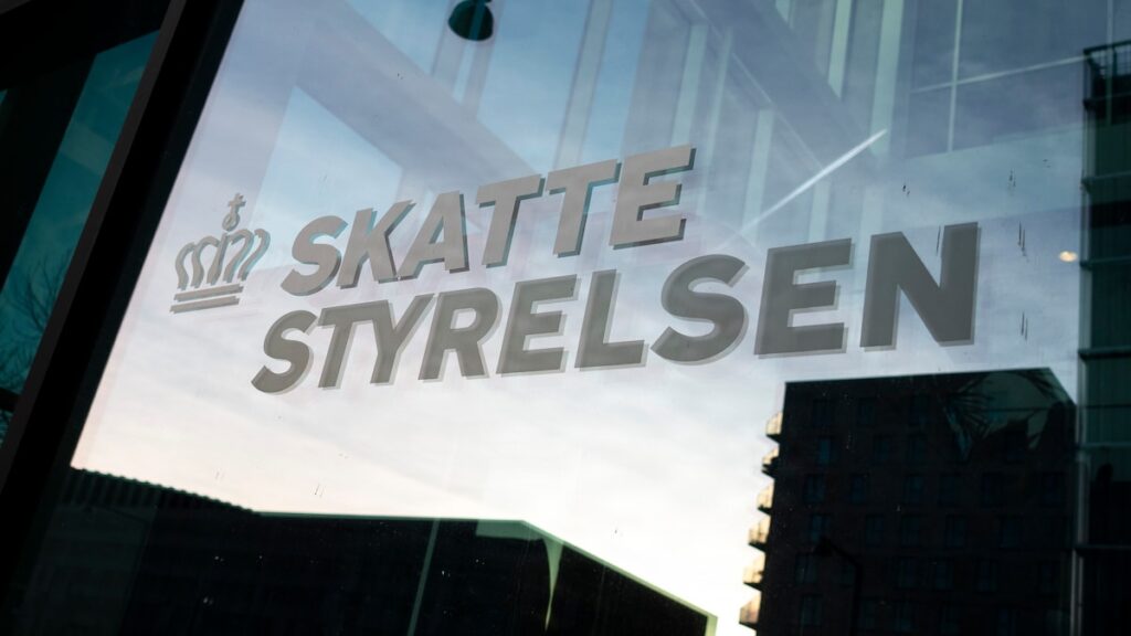 Mindst 575.000 danskere har betalt for lidt i skat | Penge