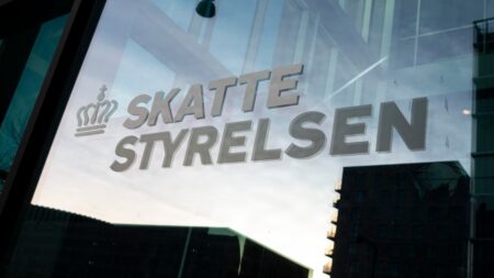 Mindst 575.000 danskere har betalt for lidt i skat | Penge