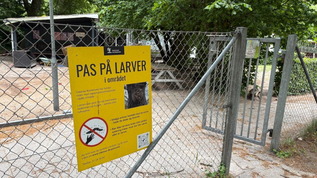 ‘Larven fra helvede’ får kommune til at lukke børnehus | Indland