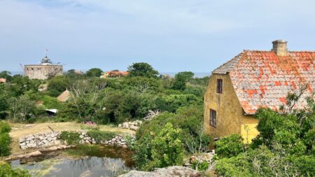 250.000 kroner skal sikre arbejdet med unik natur på Christiansø | Indland